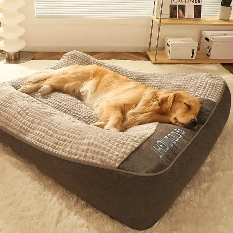 Legowisko ortopedyczne AeroFlex – golden retriever na poduszce, kolor brązowy