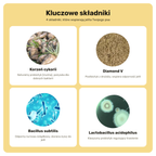 Probiotyki Forte – kluczowe składniki