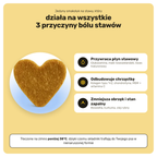 Stawy i Ruchomość – działa na 3 przyczyny bólu stawów