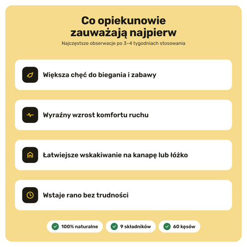 Stawy i Ruchomość – co opiekunowie zauważają najpierw