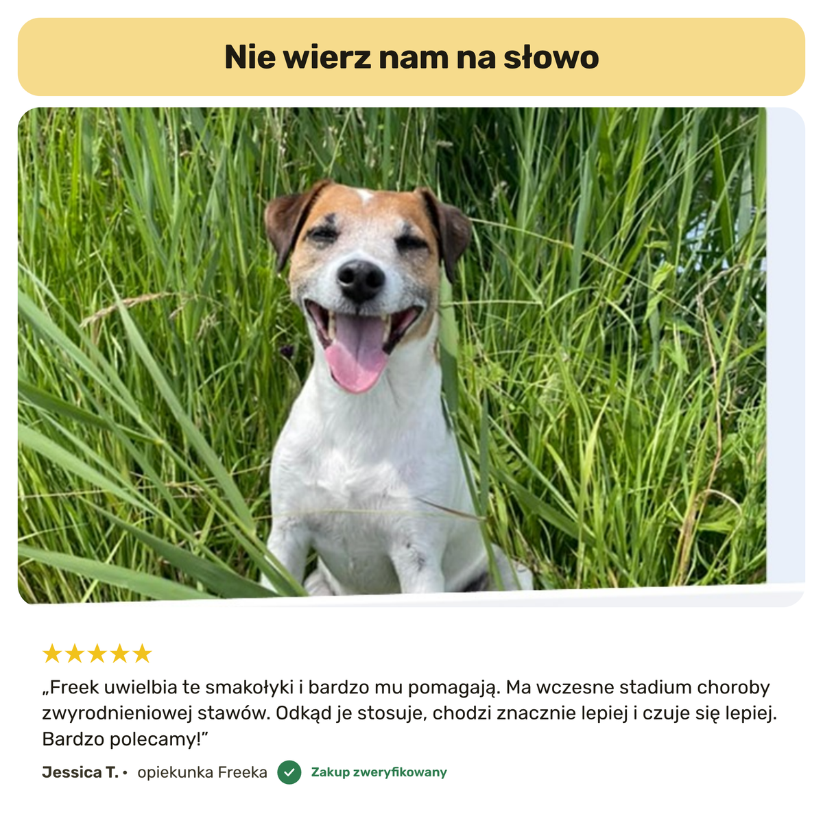 Stawy i Ruchomość – opinia Jessica T.