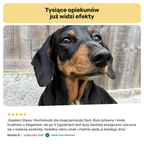 Stawy i Ruchomość – opinia Natalie D.